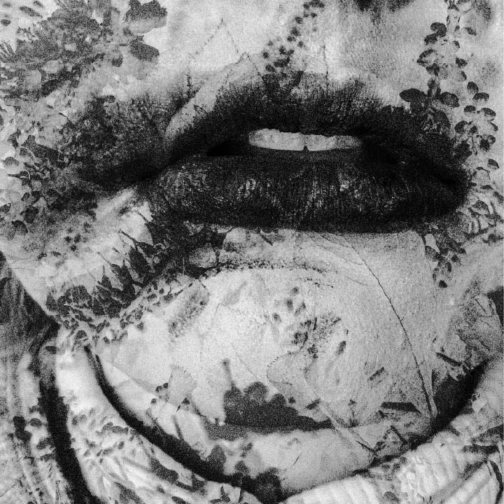 Corpse Bloom album cover