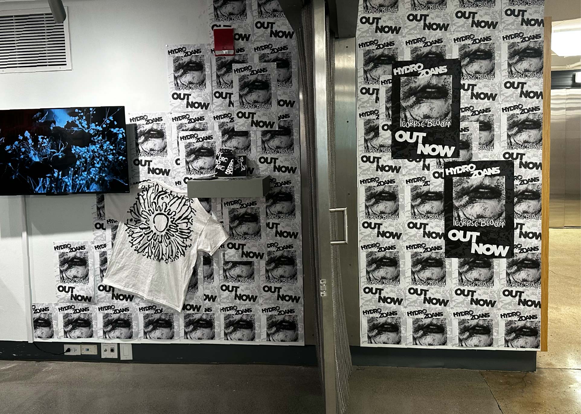 Hydrozoans installation